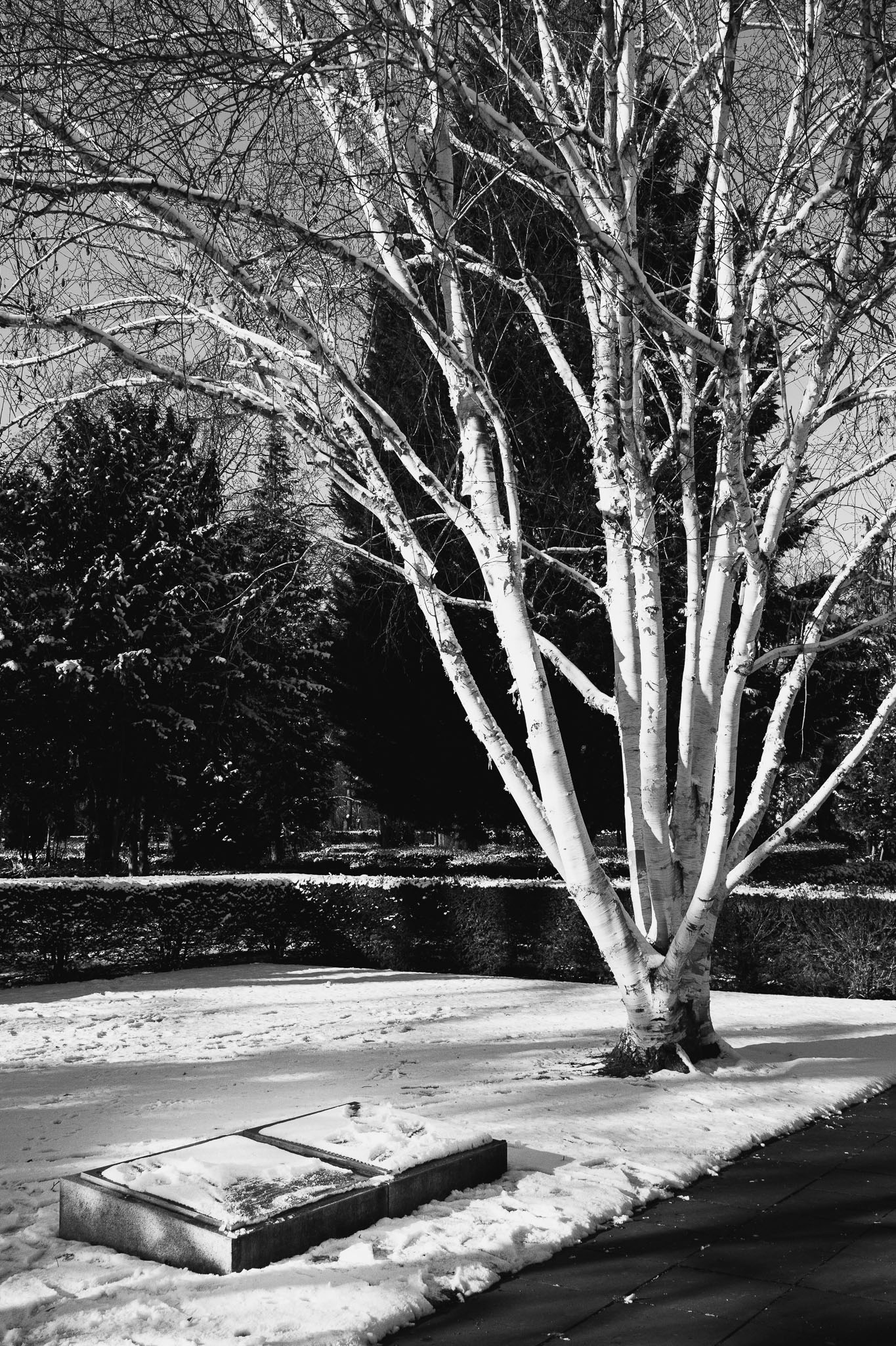 Cemetery